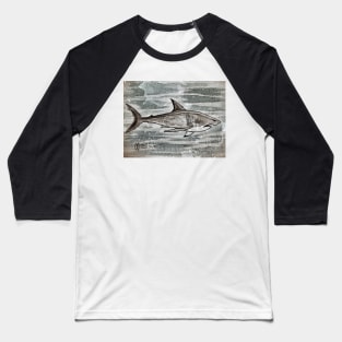 Fierce Shark Grunge Baseball T-Shirt